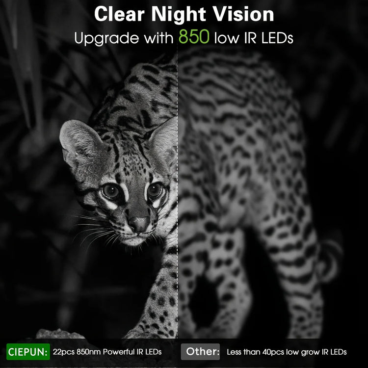 Trail Camera 4K 32MP Night Photo Video Multifunction Outdoor Hunting Animal Observation Monitor IP66 Waterproof Hunting Camera