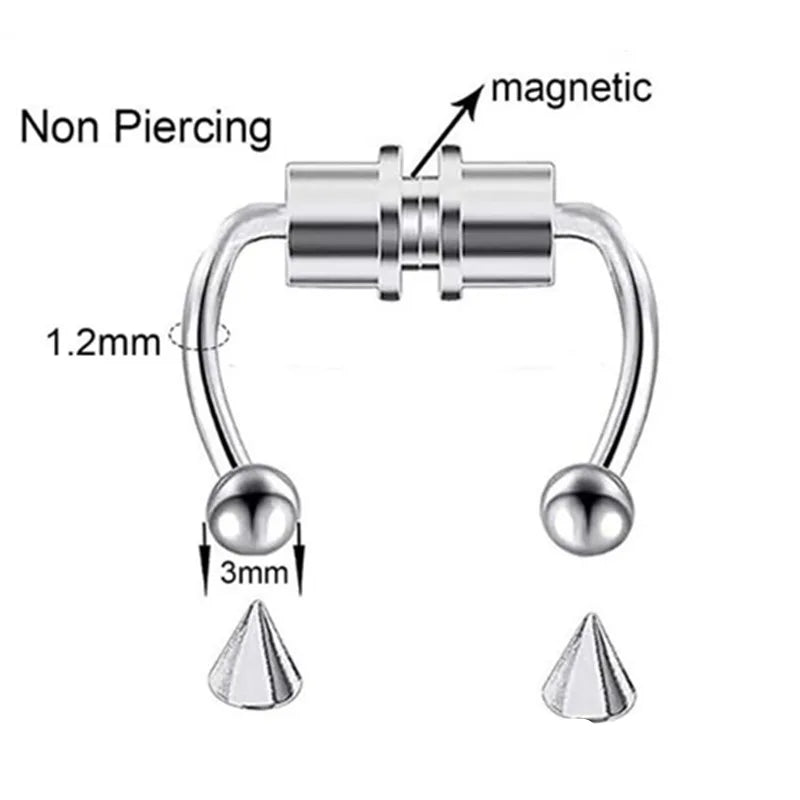 Women Fake Piercing Nose Ring Hoop Septum Piercing Nose Clip Rock HipHoop Stainless Steel Magnet Fashion Body Jewelry Wholesale