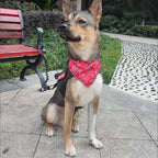 Adjustable Triangular Bandage For Pet Dog Cat Washable Scarf Bandana Collar Bibs Cat Neck Decor Birthday Party Dress Up