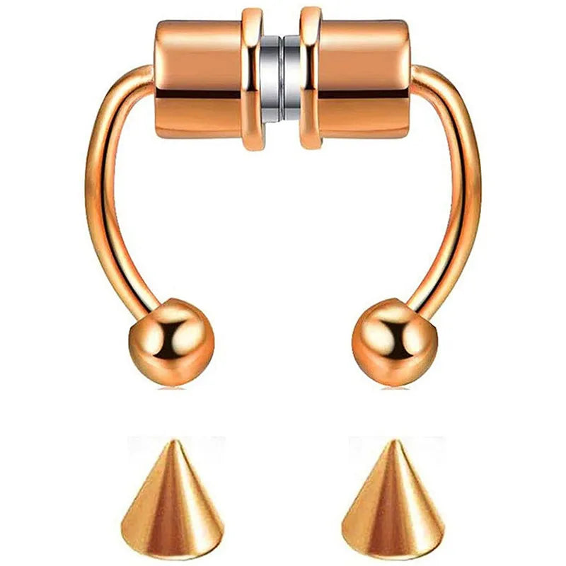 Women Fake Piercing Nose Ring Hoop Septum Piercing Nose Clip Rock HipHoop Stainless Steel Magnet Fashion Body Jewelry Wholesale