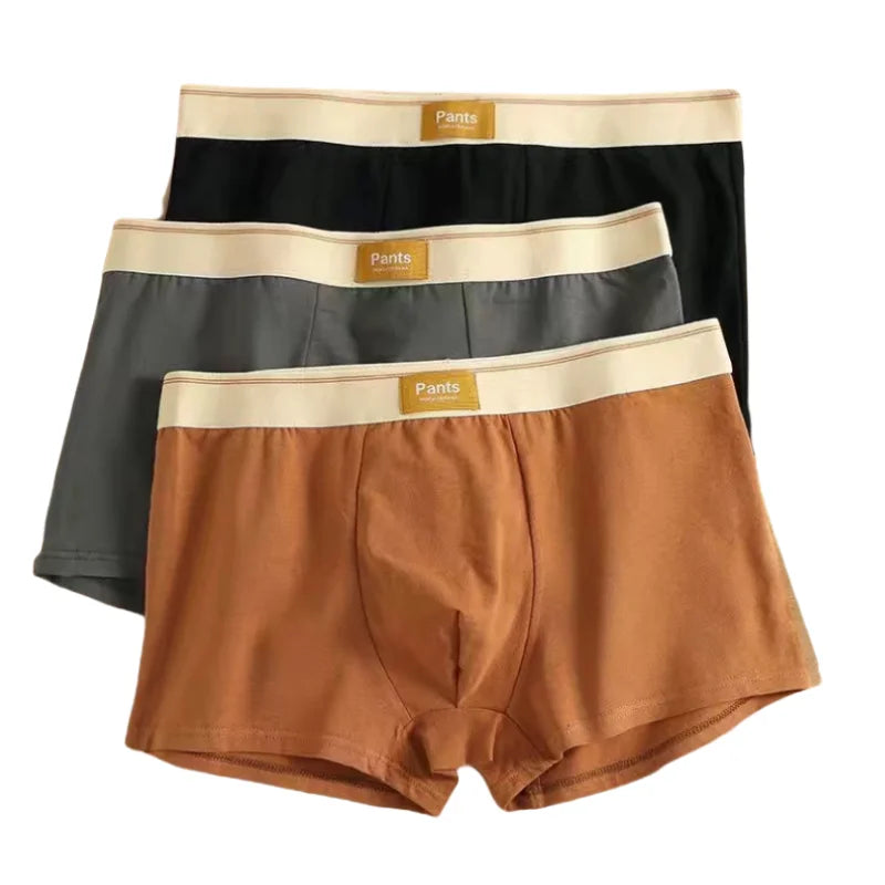 3pcs Men Panties Cotton BoxerShorts Man Underwear Mens Boxers Breathable U Convex Male Underpants Sexy Trunks