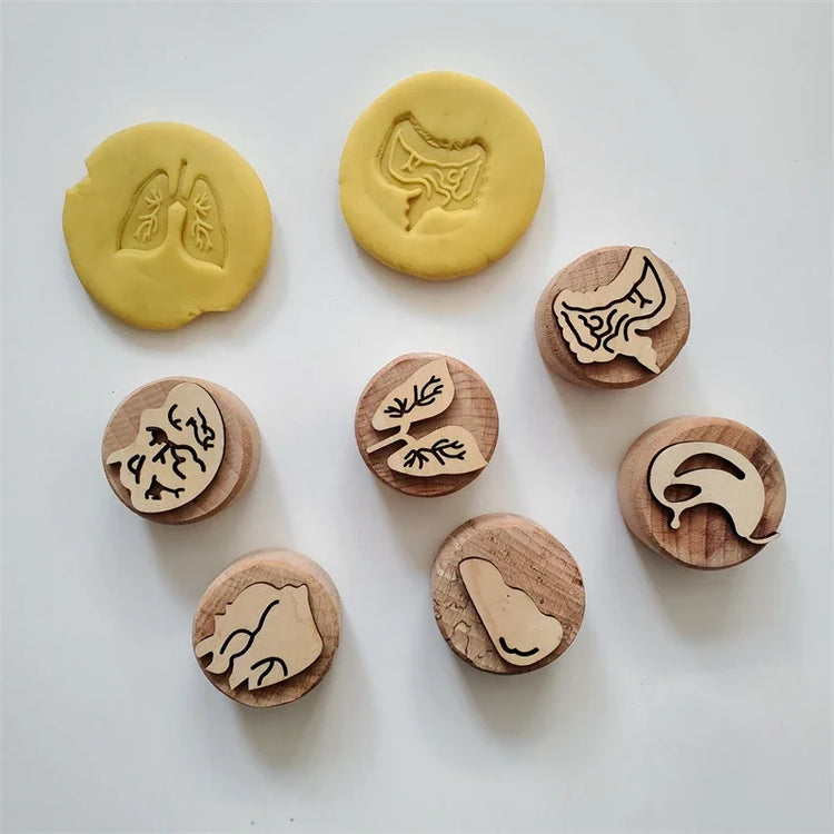 Kids Montessori Wooden Play Dough Stampers Tools Weather Insect Nature Stamps Playdough Fun Activity for Children Sensory Toys