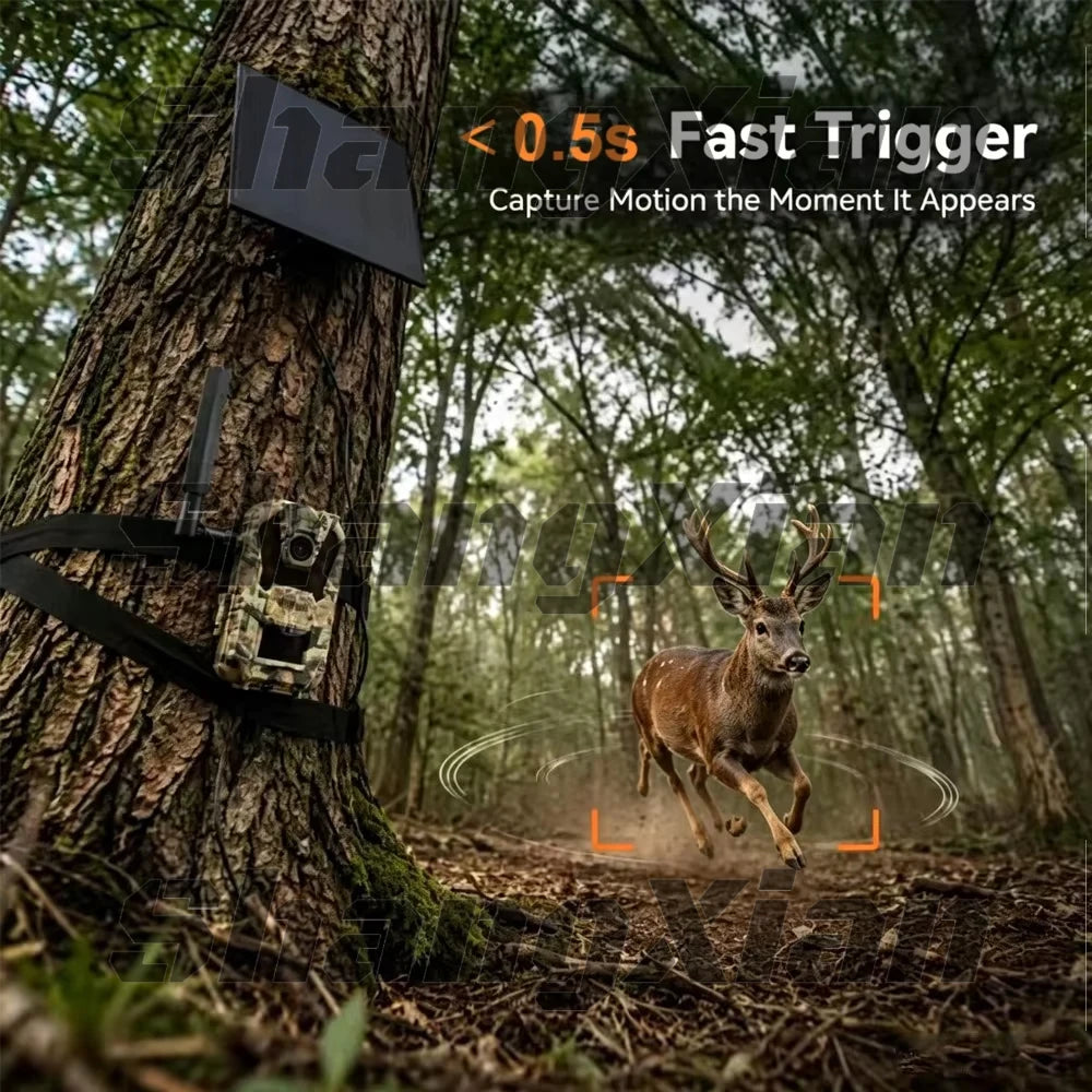 EU 4G Cellular 4MP 2K Battery Solar PIR Motion Activated Wildlife Hunting Trail Camera IP65 Outdoor Night Vision No Red Exposure