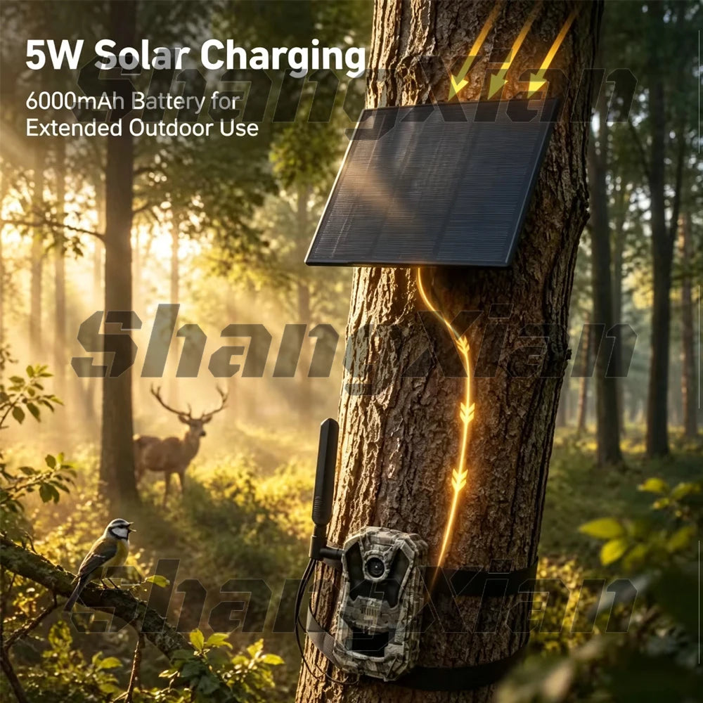 EU 4G Cellular 4MP 2K Battery Solar PIR Motion Activated Wildlife Hunting Trail Camera IP65 Outdoor Night Vision No Red Exposure