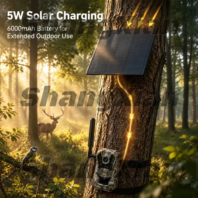 EU 4G Cellular 4MP 2K Battery Solar PIR Motion Activated Wildlife Hunting Trail Camera IP65 Outdoor Night Vision No Red Exposure