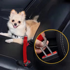 Metal Pet Seat Belt Clip Heavy Duty Rust Proof Scratch Resistant Strap Buckle Lock Used for Fixing Pet Leather Car Accessories