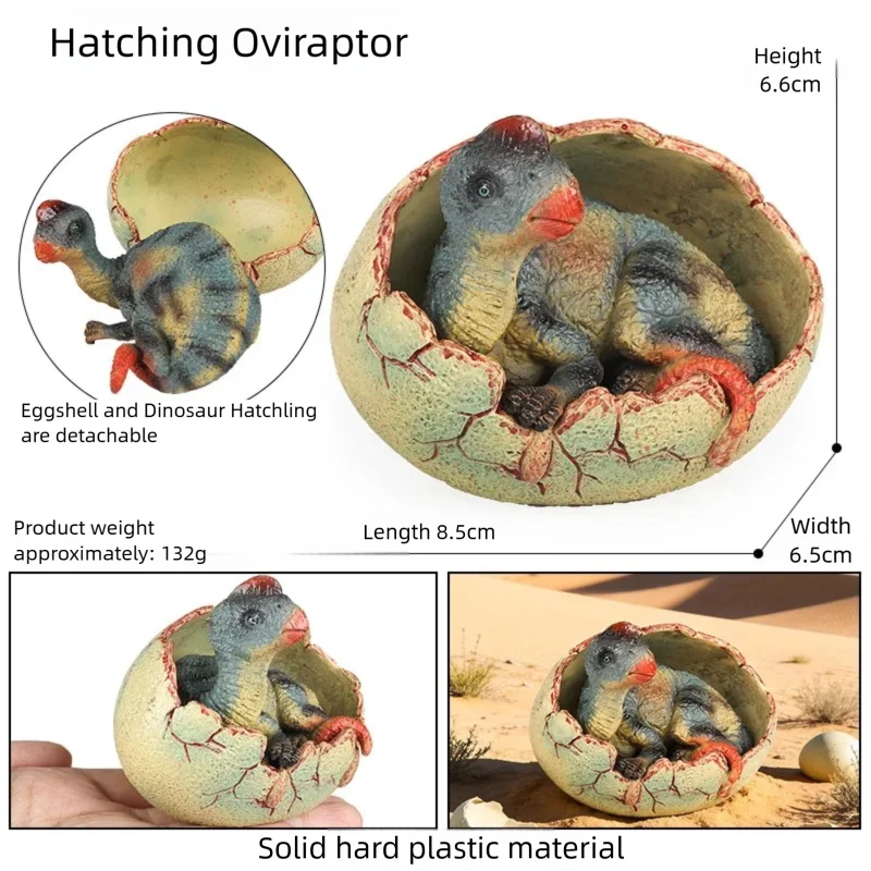 Realistic Hatching Dinosaur Egg Model T-Rex Spinosaurus Velociraptor Pterosaur Figurine Statue Home Decor Collection Ornaments