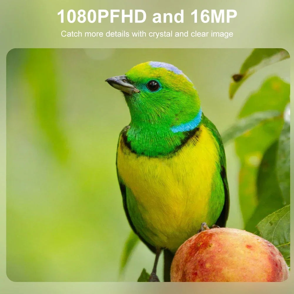 Mini Hunting Camera 16MP 1080P Wild Trail Game Cam Infrared Night Vision Outdoor Motion Activated Trigger Scouting Photo Traps