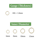 2/6PCS Seamless 316L Stainless Steel Nose Ring for Men Gold Color Hoop Earrings for Women Septum Helix Tragus Piercing Jewelry