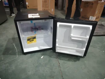 Mini Refrigerator