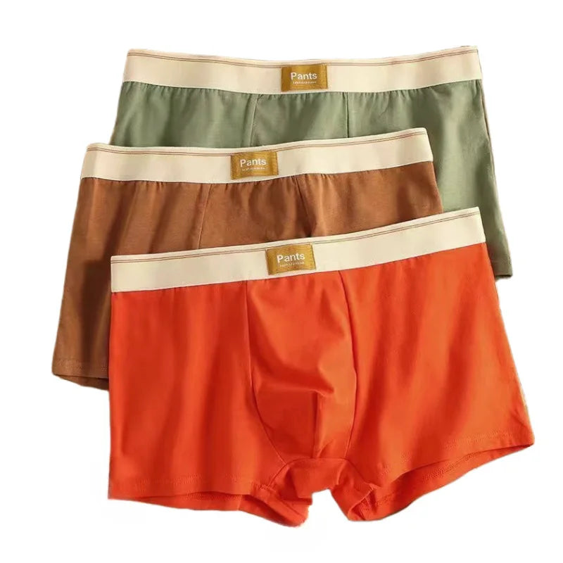 3pcs Men Panties Cotton BoxerShorts Man Underwear Mens Boxers Breathable U Convex Male Underpants Sexy Trunks