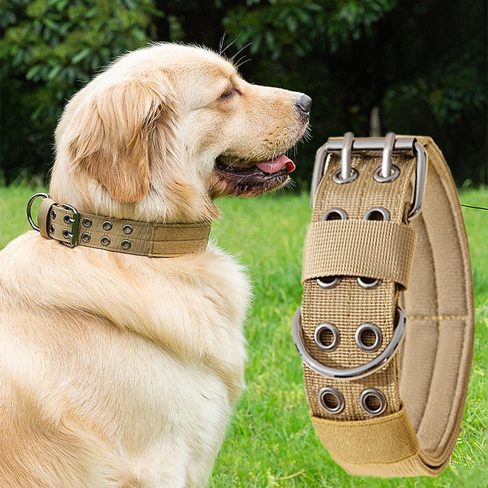 Adjustable Military Dog Collar Metal D-Ring and Buckle Working Dog Collar, Five-Level Adjustment for Medium and Large Dogs