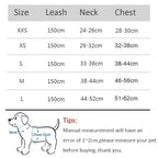 Dog Harness Leash Set for Small Dogs French Bulldog Chihuahua Pug Outdoor Walking Lead Leash Adjustable Puppy Cat Harness Vest