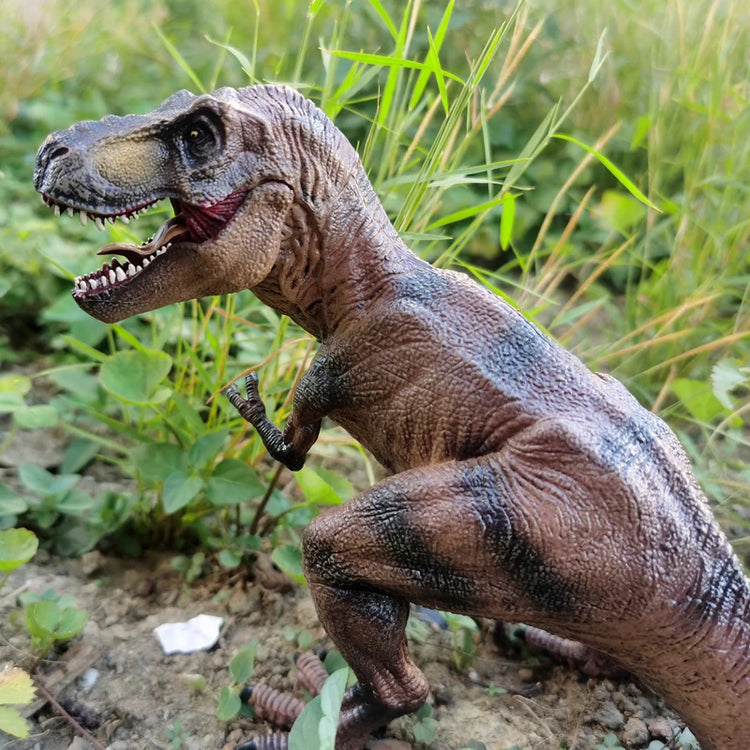 Dinosaur Toy Tyrannosaurus Rex, Realistic Dinosaur Figure T-Rex Plastic Educational Prehistoric Animal